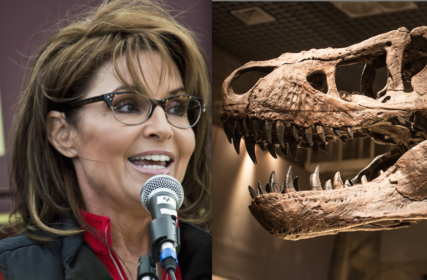 Sarah Palin tells interviewer God killed the “atheistic” dinosaurs