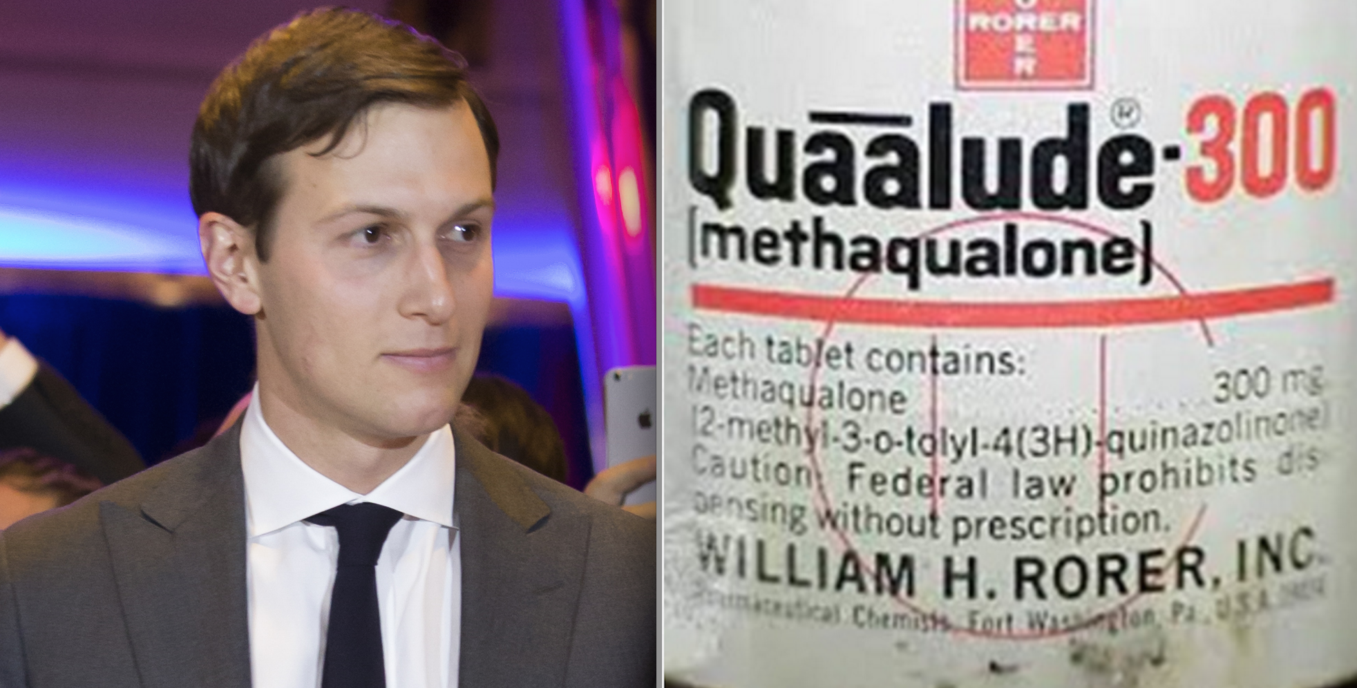 Jared Kushner: "I did not quaalude with Russia"