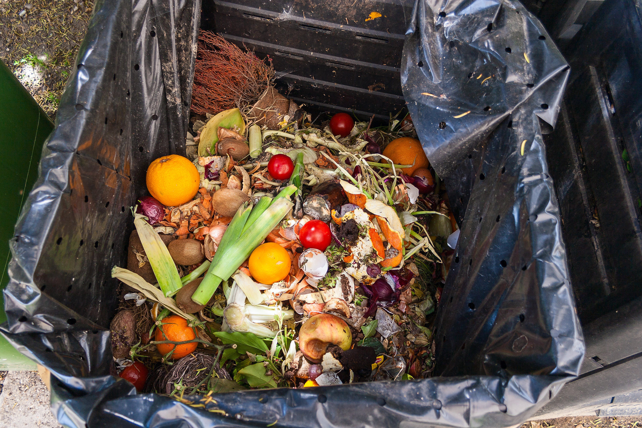 Earth starts to heal: Montana and Louisiana final two states to join nationwide composting initiatives 