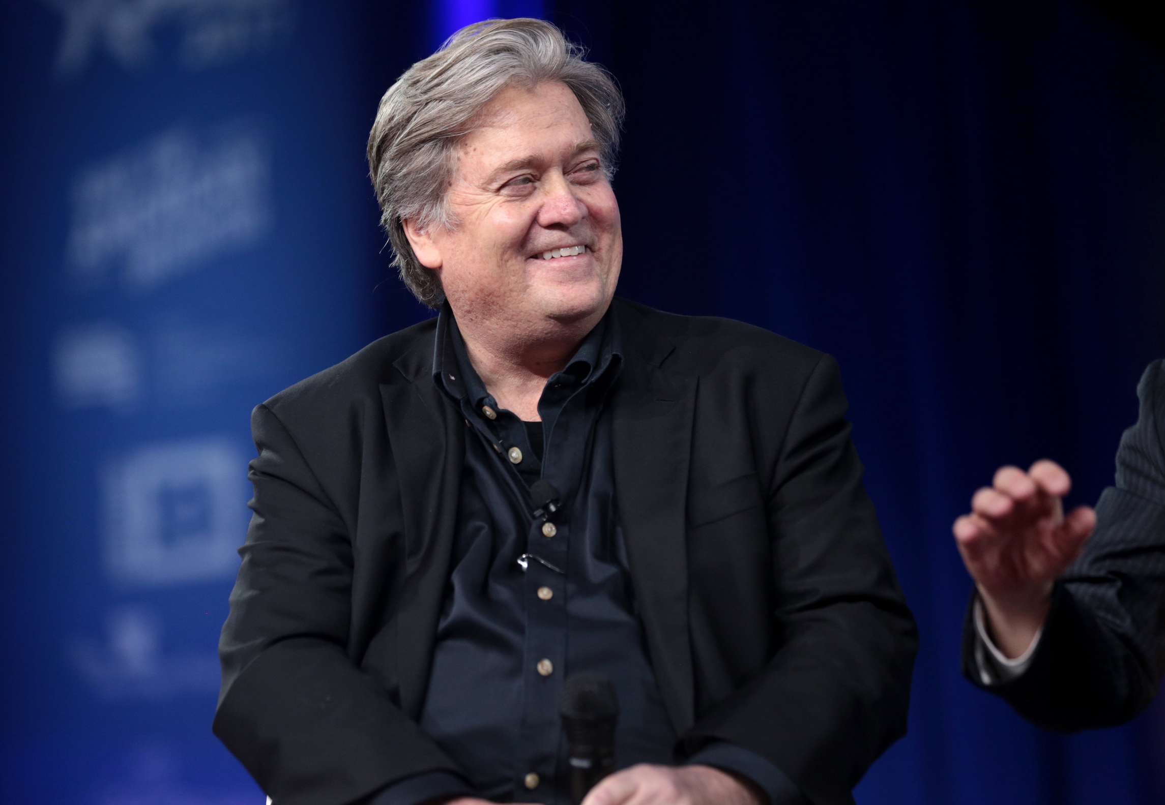 Steve Bannon mistaken for beached whale