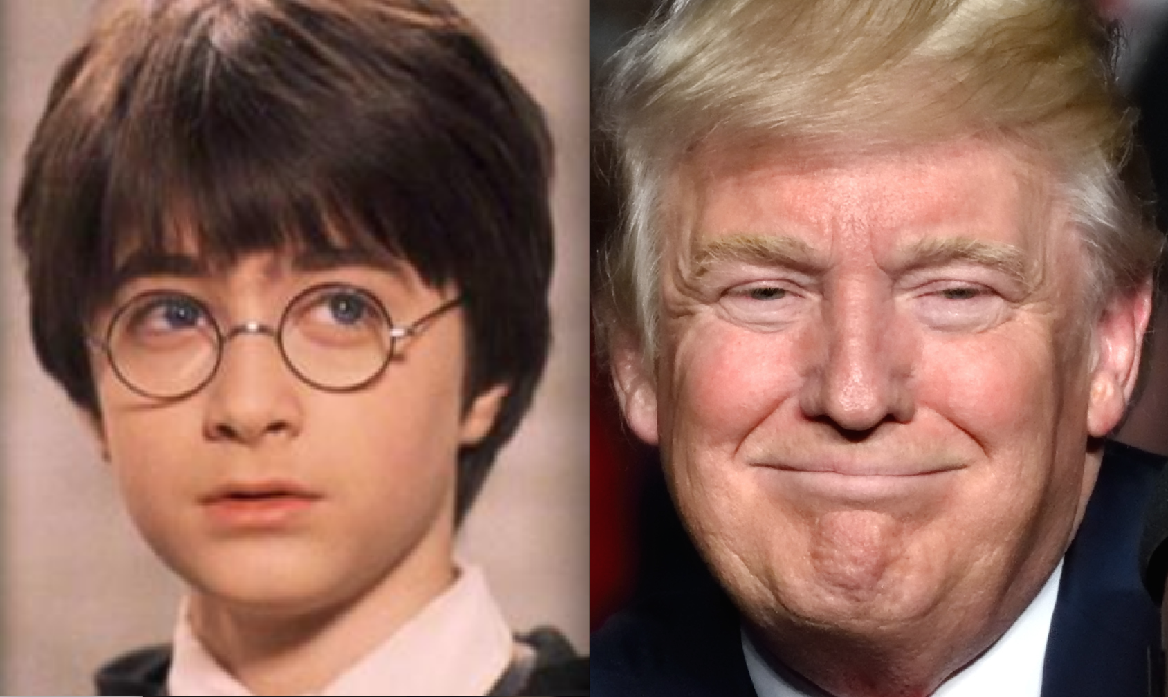 Public bewildered after Trump calls Harry Potter his "favorite living American"